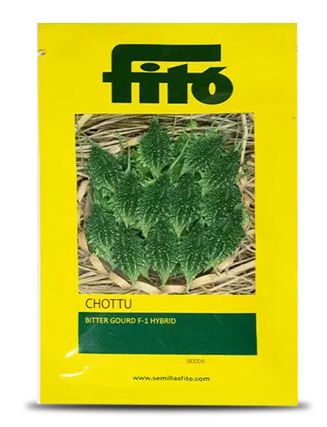 Chottu F1 Hybrid Bitter Gourd Seeds - Small, Uniform Dark Green Fruits 1