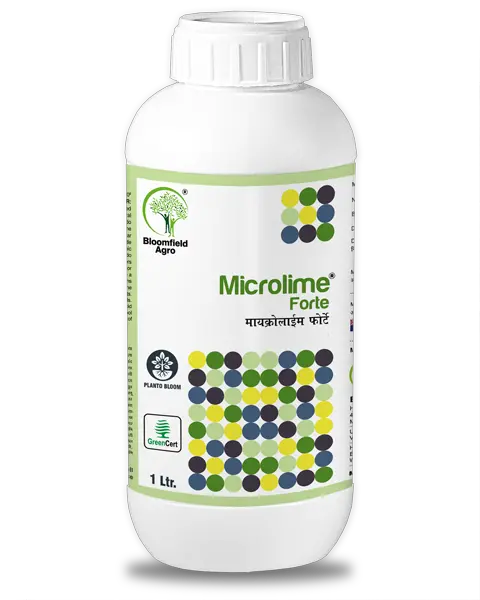 Bloomfield Microlime Forte 1