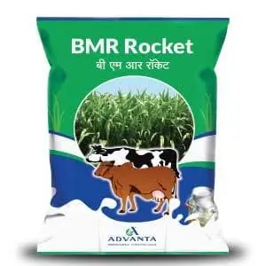 Bmr Rocket Forage (बी एम आर रॉकेट फ़ोरेज) 1