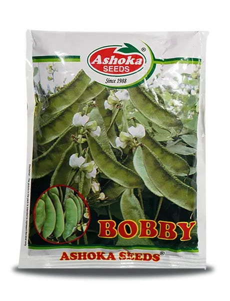 Dolicus Bobby Beans -Strong And Healthy Bushy Plants & Broad Pods 1