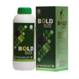 Anand Agro Bold Size - 1