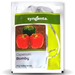 Bomby Capsicum Seeds 1