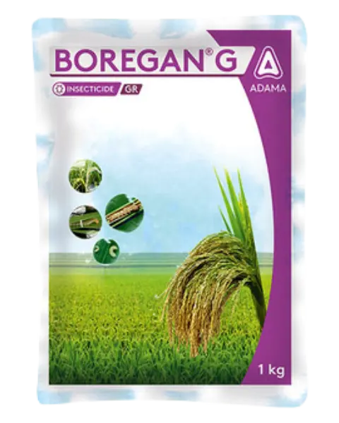 Boregan G | Insecticide 1
