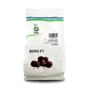 Boro Beetroot Seeds - Strong Foliage, Disease Resistant 1