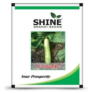 Shine Bottle Gourd Julie F1 Seeds 1