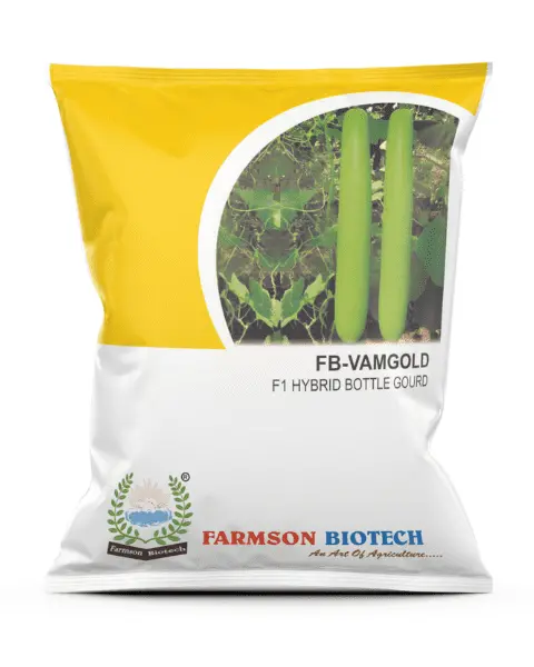 Farmson Bottle Gourd Fb-Vamgold F1 Seeds 1