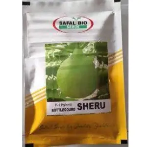 Sheru Bottle Gourd Seeds 1