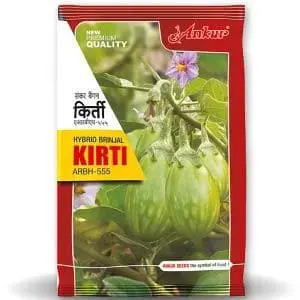 Kirti F1 Hybrid Brinjal Seeds - Early Maturity, Green Striped, High Yield 1