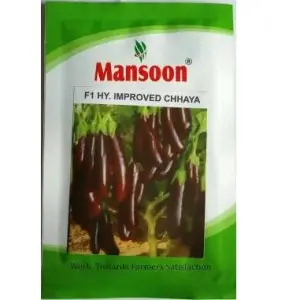 Mansoon Brinjal Chhaya Improved Seeds 1