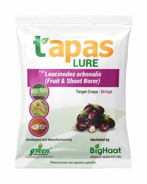 Brinjal Fruit & Shoot Borer Lure (Ipm Suitable) | Tapas 1