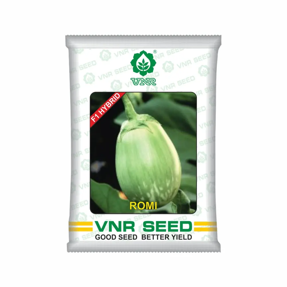 Romi F1 Hybrid Brinjal Seeds - Shiny Green Variegated, Round, High Yield 1