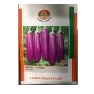 Ujjwal Brinjal Us 1004 F1 Seeds 1