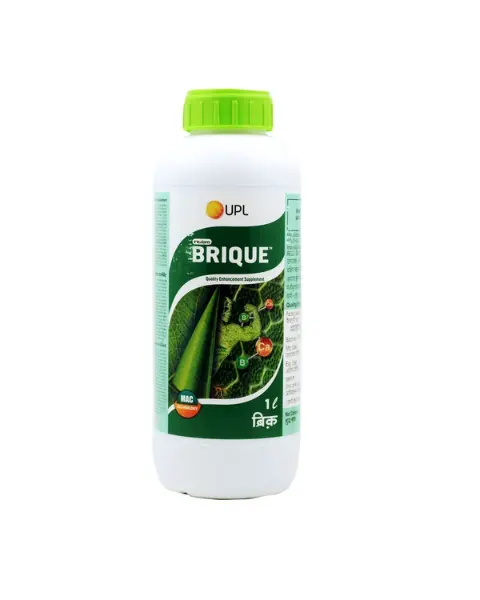 Brique Bio Stimulant 1