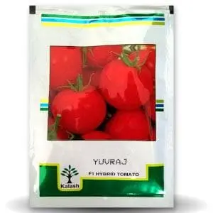 Bss 1006 (Yuvraj) Tomato ( युवराज टमाटर ) 1