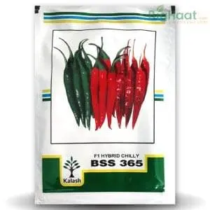 Kalash Bss 365 Chilli Seeds 1