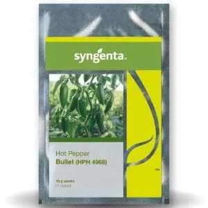 Bullet Hph 4968 Chilli Seeds: High Yield, Spicy, Uniform Fruits 1