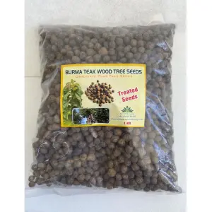 Pioneer Agro Burma Teak Wood Tree (Seeds) 1