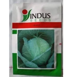 Indus Cabbage Juhi Hybrid Seeds 1