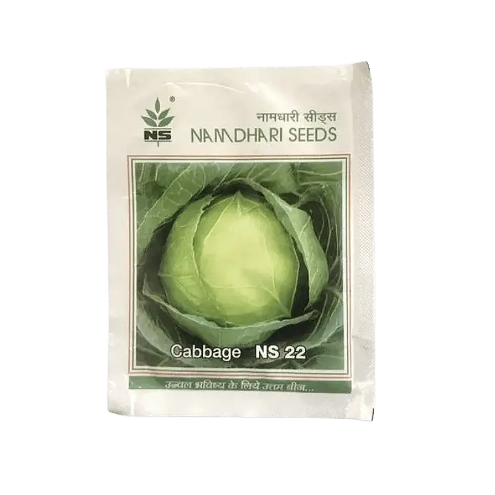 Ns 22 Cabbage Seeds By Namdhari - Round Head, Strong Growth, Late Season 1