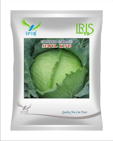 Iris Hybrid F1 Cabbage - Seoul King 1