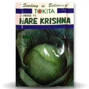 Hare Krishna Cabbage Seeds 1
