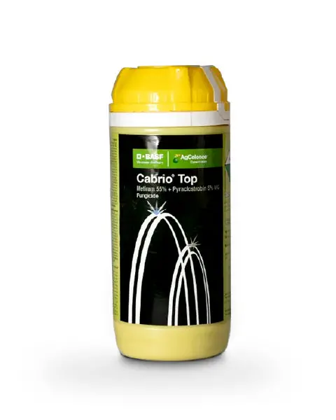 Basf Cabrio Top Fungicide (Metiram 55% + Pyraclostrobin 5% Wg) - Broad-Spectrum Disease Control 1