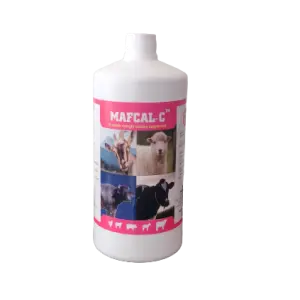 Maf Cal C (Cal Forte C) (Oral Strong Calcium, Phosphorous, Vitamin D, Vitamin B & Other Minerals) 1