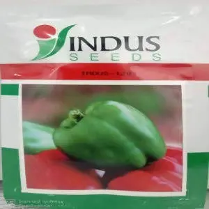 Indus Capsicum 1201 Green Seeds (Shimla Mirch) 1