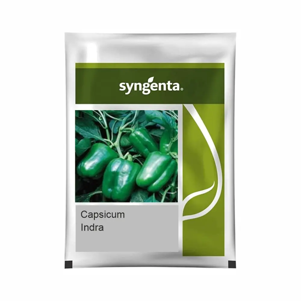 Indra Hybrid Capsicum Seeds - High Yield, Heat & Cold Set 1