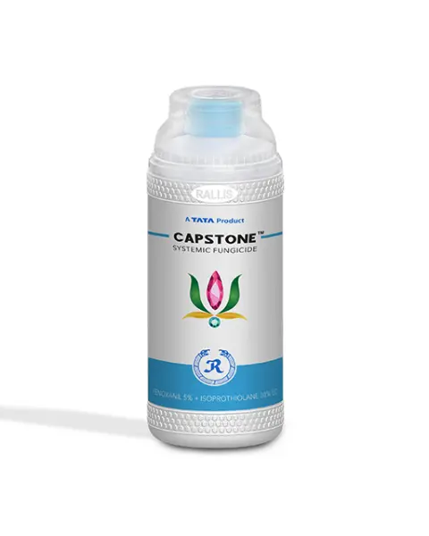Capstone Fungicide 1