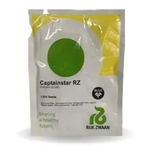 Captainstar Rz F1 Hybrid (22-240) - Mini Cucumber 1