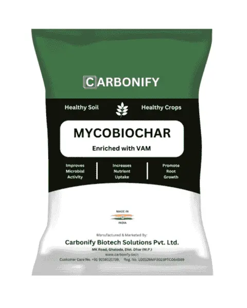 Carbonify Mycobiochar 1