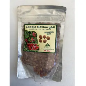 Pioneer Agro Cassia Roxburghii Tree (Seed) 1