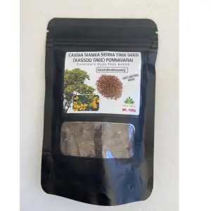 Pioneer Agro Cassia Siamea Senna Tree (Seed) 1