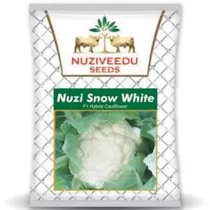 Snow White Cauliflower 1