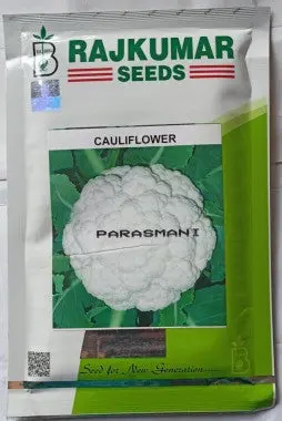 Rajkumar Cauliflower Parasmani Seeds 1