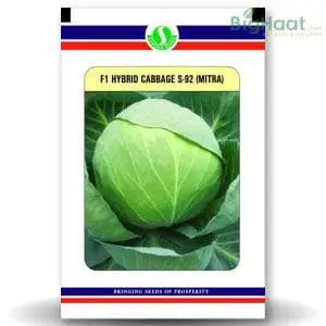 S92 (Mitra) Cabbage 1