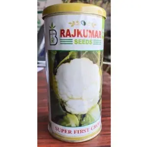 Rajkumar Cauliflower Super First Crop Seeds 1