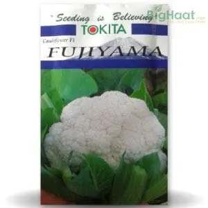 Fujiyama Cauliflower Seeds 1