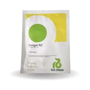 Cengel Rz F1 (22-193) Cucumber 1