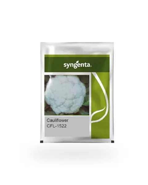 Cfl 1522 Cauliflower Seeds By Syngenta - High Yield & Disease Tolerant 1
