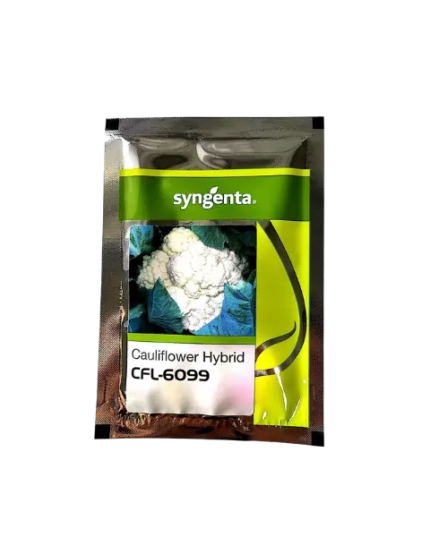 Cfl 6099 Cauliflower Seeds 1