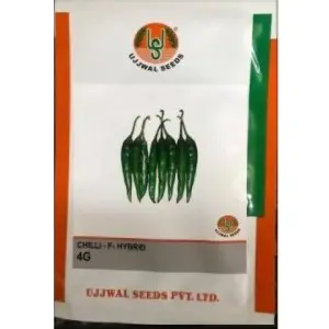 Ujjwal Chilli 4G F1 Hybrid Seeds 1