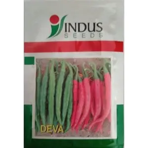 Indus Chilli Deva F1 Hybrid Seeds 1
