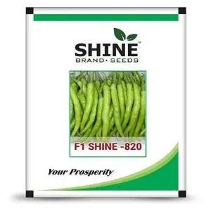 Shine Chilli Shine 820 F1 Hybrid Seeds 1
