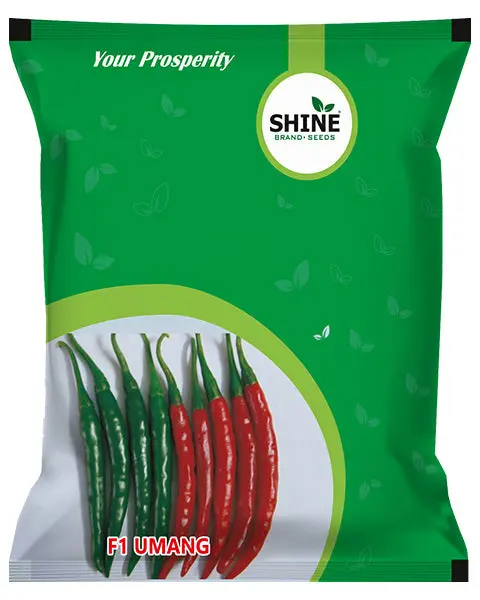 Shine Chilli Umang F1 Hybrid Seeds 1
