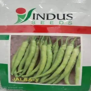 Indus Chilli Jalsa 3 Hybrid Seeds 1
