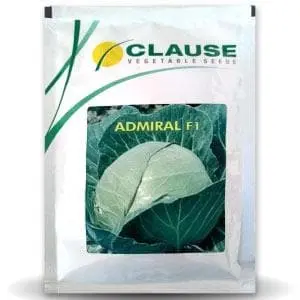 Admiral Cabbage - Seeds 1