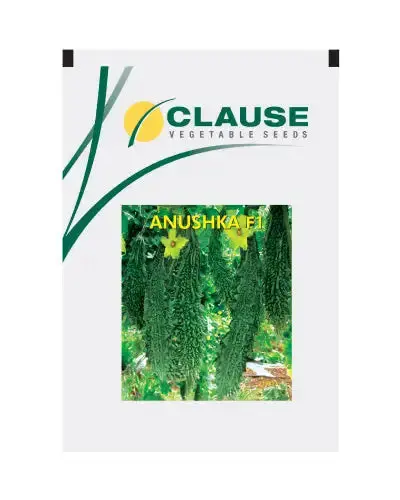 Clause-Anushka F1 1