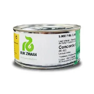 Concorde Rz (85-53) Red Leafy Lettuce 1